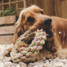 Beco Beco Hemp Jungle Ring - Speelring voor honden gemaakt van henneptouw - Voor zachte tot gematigde kauwers Beco Beco Hemp Jungle Ring - Speelring voor honden gemaakt van henneptouw - Voor zachte tot gematigde kauwers
