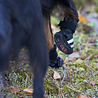 Rukka Pets RukkaPets Step Shoes - Stijlvolle beschermende hondenschoenen - Ritssluiting - 4 schoenen per pak Rukka Pets RukkaPets Step Shoes - Stijlvolle beschermende hondenschoenen - Ritssluiting - 4 schoenen per pak