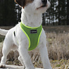 Rukka Pets Rukka Pets Comfort Air Harness - Lichtgewicht en Ademend Hondentuig - Ergonomisch design - Geel, Roze en Grijs - XS / S / M / L / XL Rukka Pets Rukka Pets Comfort Air Harness - Lichtgewicht en Ademend Hondentuig - Ergonomisch design - Geel, Roze en Grijs - XS / S / M / L / XL