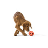 West Paw West Paw Rumbl met Zogoflex® Echo - Vulbaar Hondenspeelgoed en Slow Feeder - Geschikt voor Pups en Zachte kauwers West Paw West Paw Rumbl met Zogoflex® Echo - Vulbaar Hondenspeelgoed en Slow Feeder - Geschikt voor Pups en Zachte kauwers