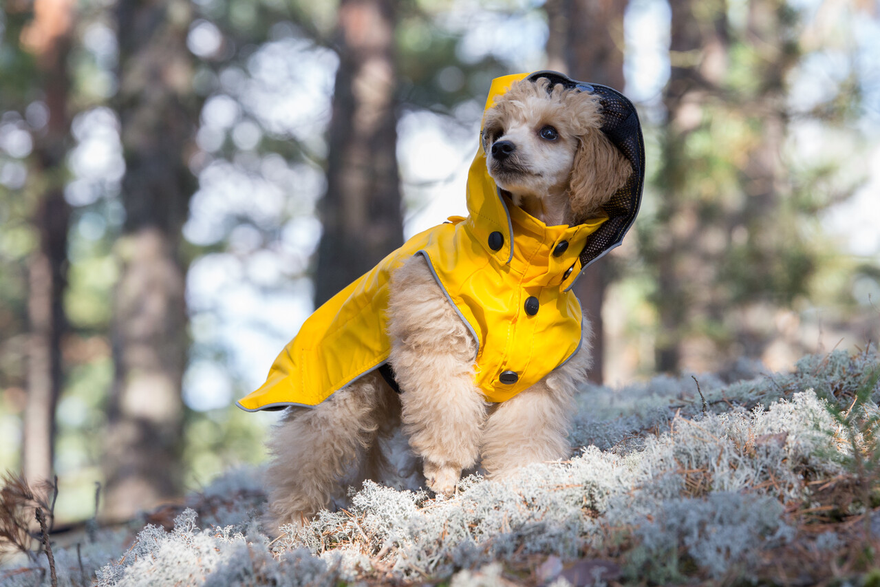 Rukka stream store raincoat