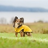 Rukka Pets Rukka Pets Stream Raincoat - Trendy gele hondenregenjas - Opening voor riem of harnas - Afneembare capuchon - In 11 maten Rukka Pets Rukka Pets Stream Raincoat - Trendy gele hondenregenjas - Opening voor riem of harnas - Afneembare capuchon - In 11 maten