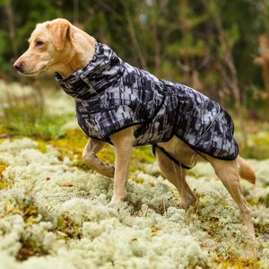 Softshell hondenjas voor actieve honden