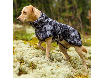 Softshell hondenjas voor actieve honden - in 9 maten