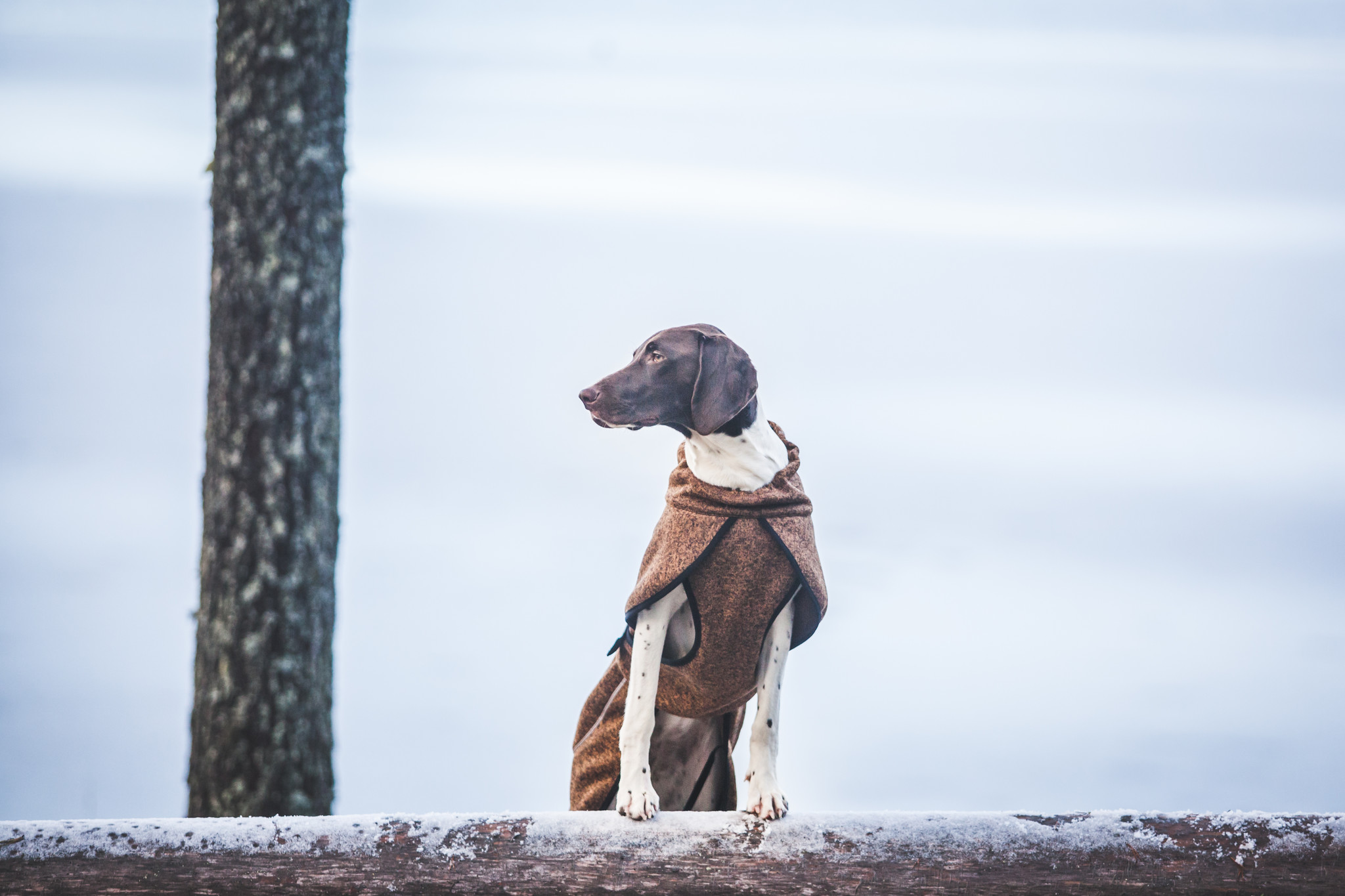 kever Triviaal veld Rukka Pets Comfy Jacket - Warme fleece jas voor honden - Max&Luna