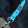 Rukka Pets Rukka Pets Twist Collar - Duurzame hondenhalsband van gerecycled materiaal - X-small, small, medium, large - Turquoise, roze Rukka Pets Rukka Pets Twist Collar - Duurzame hondenhalsband van gerecycled materiaal - X-small, small, medium, large - Turquoise, roze