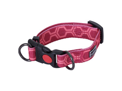 Duurzame hondenhalsband van gerecycled materiaal