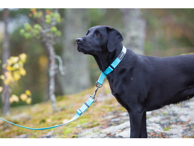 RukkaPets Twist Leash - Duurzame hondenriem van gerecycled materiaal