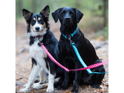 RukkaPets Twist Leash - Duurzame hondenriem van gerecycled materiaal