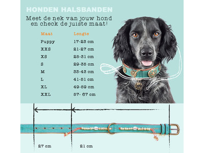 Montana Sky stoere hondenhalsband van leer en denim