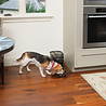 PetSafe PetSafe Healthy Pet Simply Feed - Programmeerbare digitale voerautomaat voor huisdieren - PFD19-15521 PetSafe PetSafe Healthy Pet Simply Feed - Programmeerbare digitale voerautomaat voor huisdieren - PFD19-15521
