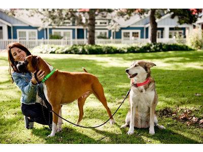 Wigzi Dual Doggie Gel Leash- Dubbele Hondenriem met anti-knoop - Small, Medium/ Large - Gel handvat