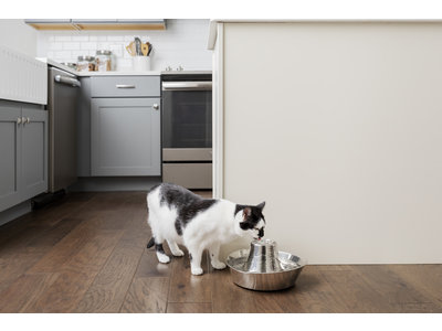 PetSafe® Seaside Stainless Steel Pet Fountain - RVS drinkfontein voor katten en kleine honden - Water borrelt zacht over de toren - Door het design van alle kanten bereikbaar - 1,8 liter
