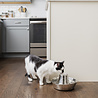 PetSafe PetSafe® Seaside Stainless Steel Pet Fountain - RVS drinkfontein voor katten en kleine honden - Water borrelt zacht over de toren - Door het design van alle kanten bereikbaar - 1,8 liter PetSafe PetSafe® Seaside Stainless Steel Pet Fountain - RVS drinkfontein voor katten en kleine honden - Water borrelt zacht over de toren - Door het design van alle kanten bereikbaar - 1,8 liter