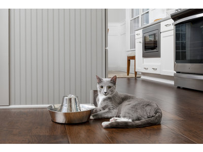 PetSafe® Seaside Stainless Steel Pet Fountain - RVS drinkfontein voor katten en kleine honden - Water borrelt zacht over de toren - Door het design van alle kanten bereikbaar - 1,8 liter