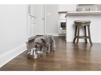 PetSafe® Seaside Stainless Steel Pet Fountain - RVS drinkfontein voor katten en kleine honden - Water borrelt zacht over de toren - Door het design van alle kanten bereikbaar - 1,8 liter