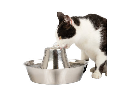 PetSafe® Seaside Stainless Steel Pet Fountain - RVS drinkfontein voor katten en kleine honden - Water borrelt zacht over de toren - Door het design van alle kanten bereikbaar - 1,8 liter
