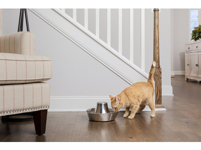 PetSafe® Seaside Stainless Steel Pet Fountain - RVS drinkfontein voor katten en kleine honden - Water borrelt zacht over de toren - Door het design van alle kanten bereikbaar - 1,8 liter