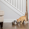 PetSafe PetSafe® Seaside Stainless Steel Pet Fountain - RVS drinkfontein voor katten en kleine honden - Water borrelt zacht over de toren - Door het design van alle kanten bereikbaar - 1,8 liter PetSafe PetSafe® Seaside Stainless Steel Pet Fountain - RVS drinkfontein voor katten en kleine honden - Water borrelt zacht over de toren - Door het design van alle kanten bereikbaar - 1,8 liter