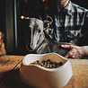 Beco Beco Bowls - Voerbak/ Waterbak voor Honden - Zeer Sterk & Vaatwasserbestendig - Trendy in 4 Kleuren in S/M/L Beco Beco Bowls - Voerbak/ Waterbak voor Honden - Zeer Sterk & Vaatwasserbestendig - Trendy in 4 Kleuren in S/M/L