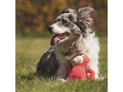 Hondenspeelgoed Duurzaam en 100% Gerecycled - Beco Pets Pluche Knuffel Aap - S/M/L