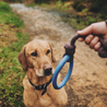 Beco Beco Hoop - Speeltouw voor pups met bijtring - Zacht, Flexibel & Milieuvriendelijk - Groen, Blauw of Roze in maat S/L Beco Beco Hoop - Speeltouw voor pups met bijtring - Zacht, Flexibel & Milieuvriendelijk - Groen, Blauw of Roze in maat S/L