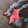 Beco Beco Pets - Pluche Hondenknuffel met Pieper - Sindy de Zeester - Gemaakt van Gerecycled Materiaal - Maat M/L Beco Beco Pets - Pluche Hondenknuffel met Pieper - Sindy de Zeester - Gemaakt van Gerecycled Materiaal - Maat M/L