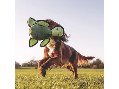Pluche Hondenknuffel met Pieper Schildpad