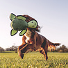 Beco Beco Pluche Hondenknuffel met Pieper Schildpad - Hondenknuffel van Gerecycled Materiaal - Maat M/L Beco Beco Pluche Hondenknuffel met Pieper Schildpad - Hondenknuffel van Gerecycled Materiaal - Maat M/L