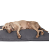 District 70 District 70 CLASSIC Hondenkussen - Comfortabel, Wasbaar van Hoogwaardig Materiaal - in 4 Kleuren 105 x 70 cm District 70 District 70 CLASSIC Hondenkussen - Comfortabel, Wasbaar van Hoogwaardig Materiaal - in 4 Kleuren 105 x 70 cm
