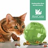 PetSafe PetSafe SlimCat™ Cat Toy - Speelgoed voor katten - Voerbal voor 150 gram droogvoer of snacks - in Groen, Blauw en Roze PetSafe PetSafe SlimCat™ Cat Toy - Speelgoed voor katten - Voerbal voor 150 gram droogvoer of snacks - in Groen, Blauw en Roze