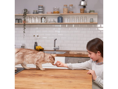 GimCat Pudding - Gezonde en lekkere yoghurt voor katten - 150g