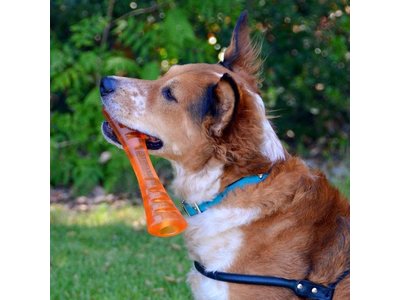 Zeer sterke Apporteer Stok om op te Kauwen voor Honden - Bionic Bone - in S/M/L
