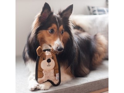 Stevige knuffel voor kleine honden met Speciale Onverwoestbare Pieper - Outward Hound Invincibles - Chicky Geel / Penguin Blauw of Puppy Bruin