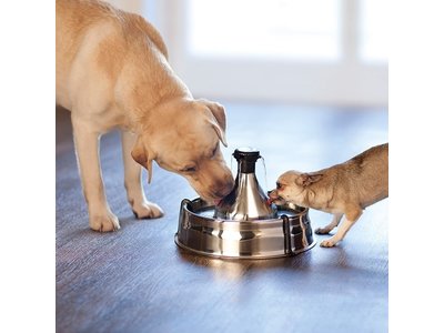 PetSafe Drinkwell® 360 Stainless Steel Pet Fountain - RVS drinkfontein voor katten en honden - Met max. 5 vrijvallende waterstromen - Rond design, van alle kanten bereikbaar - 3,8 liter
