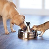 PetSafe PetSafe Drinkwell® 360 Stainless Steel Pet Fountain - RVS drinkfontein voor katten en honden - Met vrijvallende waterstromen - Inhoud 3,8 liter PetSafe PetSafe Drinkwell® 360 Stainless Steel Pet Fountain - RVS drinkfontein voor katten en honden - Met vrijvallende waterstromen - Inhoud 3,8 liter
