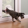 PetSafe PetSafe Staywell® Grote kat of kleine hond - Dierenluik in Wit of Frosted - Voor huisdieren tot 10 kg PetSafe PetSafe Staywell® Grote kat of kleine hond - Dierenluik in Wit of Frosted - Voor huisdieren tot 10 kg
