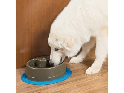 PetSafe Drinkwell® Current Pet Fountain - Drinkfontein voor katten en honden - Continu bewegend water - Water wordt constant door de kom gecirculeerd - 1,2 liter / 2,4 liter / 3,5 liter