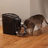 PetSafe PetSafe Healthy Pet Simply Feed - Programmeerbare digitale voerautomaat voor huisdieren - PFD19-15521 PetSafe PetSafe Healthy Pet Simply Feed - Programmeerbare digitale voerautomaat voor huisdieren - PFD19-15521