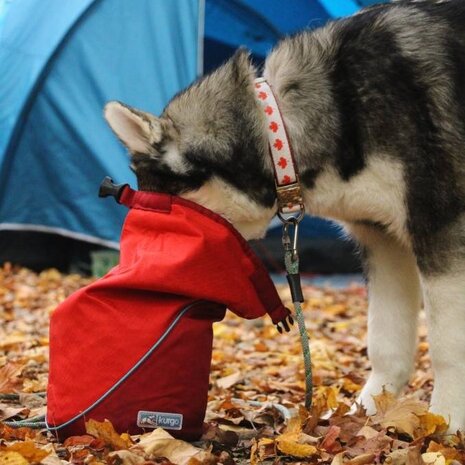 Kurgo kibble carrier cheap