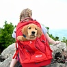 Kurgo Comfortabele Hondenrugzak voor Kleine honden met diverse opbergvakken - Voor honden tot 11 kg - Kurgo G-train K9 - Rood of Zwart - 33x53x25cm Kurgo Comfortabele Hondenrugzak voor Kleine honden met diverse opbergvakken - Voor honden tot 11 kg - Kurgo G-train K9 - Rood of Zwart - 33x53x25cm