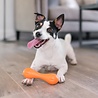 West Paw Super Sterk Kauwbot voor Hond - West Paw Hurley® met Zogoflex - in Blauw, Groen of Oranje in XS/S/L West Paw Super Sterk Kauwbot voor Hond - West Paw Hurley® met Zogoflex - in Blauw, Groen of Oranje in XS/S/L