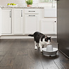 PetSafe PetSafe® Streamside Ceramic Pet Fountain - Keramische drinkfontein voor katten en kleine honden - Water borrelt zacht over de toren - Door het design van alle kanten bereikbaar - 1,8 liter PetSafe PetSafe® Streamside Ceramic Pet Fountain - Keramische drinkfontein voor katten en kleine honden - Water borrelt zacht over de toren - Door het design van alle kanten bereikbaar - 1,8 liter
