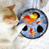 Petstages Petstages Hide & Seek Wobble Pond - Krabspeelgoed voor Katten - Kartonnen Visvijver met Kattenkruid Petstages Petstages Hide & Seek Wobble Pond - Krabspeelgoed voor Katten - Kartonnen Visvijver met Kattenkruid