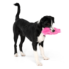 West Paw West Paw Rowdies™ Custer - Sterk Pluche Hondenspeeltje met Pieper - Roze, Groen en Geel West Paw West Paw Rowdies™ Custer - Sterk Pluche Hondenspeeltje met Pieper - Roze, Groen en Geel