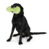 West Paw West Paw Rowdies™ Custer - Sterk Pluche Hondenspeeltje met Pieper - Roze, Groen en Geel West Paw West Paw Rowdies™ Custer - Sterk Pluche Hondenspeeltje met Pieper - Roze, Groen en Geel
