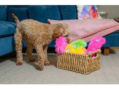 West Paw Rowdies™ Peet - Duurzaam Pluche Hondenspeelgoed - Voor (Middel)Grote Honden - Sterke Knuffel in Roze, Groen en Geel - Ideaal voor Trekspel