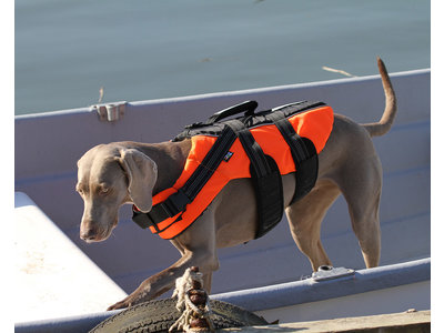 RukkaPets - Zwemvest voor honden - Veilig op de boot - Lichtgewicht Reddingsvest - Verkrijgbaar in XS, S, M, L, XL