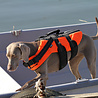 Rukka Pets Rukka Pets - Zwemvest voor honden - Veilig op de boot - Lichtgewicht Reddingsvest - Verkrijgbaar in XS, S, M, L, XL Rukka Pets Rukka Pets - Zwemvest voor honden - Veilig op de boot - Lichtgewicht Reddingsvest - Verkrijgbaar in XS, S, M, L, XL