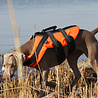 Rukka Pets Rukka Pets - Zwemvest voor honden - Veilig op de boot - Lichtgewicht Reddingsvest - Verkrijgbaar in XS, S, M, L, XL Rukka Pets Rukka Pets - Zwemvest voor honden - Veilig op de boot - Lichtgewicht Reddingsvest - Verkrijgbaar in XS, S, M, L, XL